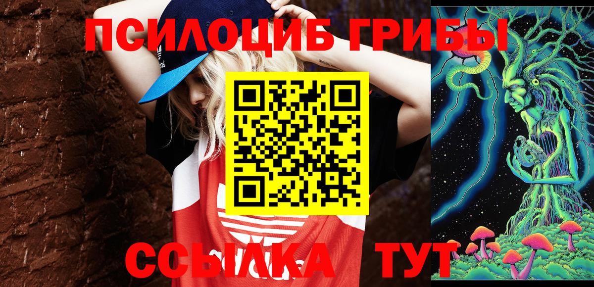 Псилоцибиновые грибы Cubensis  Вход с VPN  Муром 