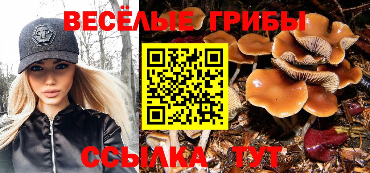 Псилоцибиновые грибы мухоморы Муром